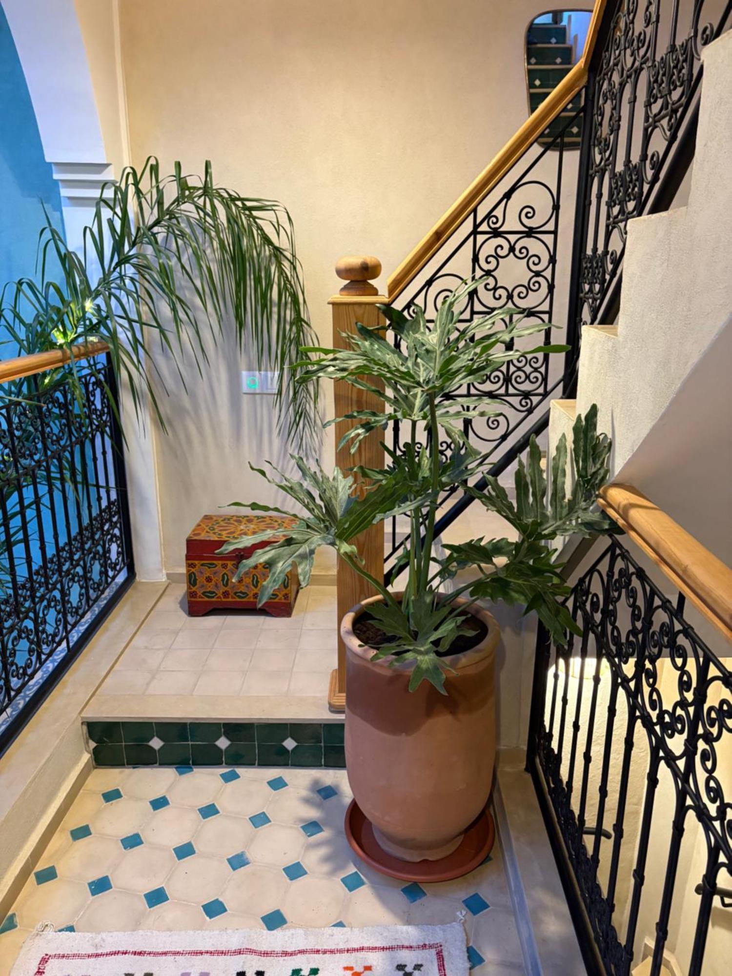 Riad212 Private Medina Fast Wi-Fi Plunge Pool Marraquexe Exterior foto